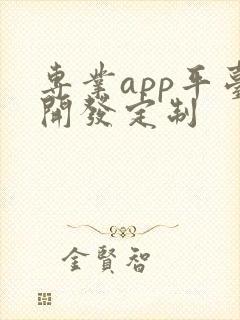 专业app平台开发定制