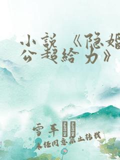 小说 《隐婚老公超给力》