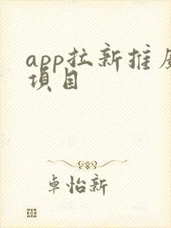 app拉新推广项目