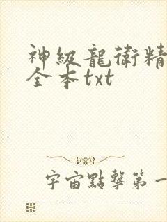 神级龙卫精校版全本txt