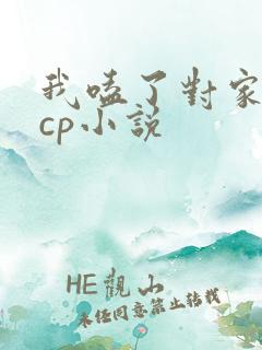 我嗑了对家我的cp小说 我嗑了对家我的cp小说