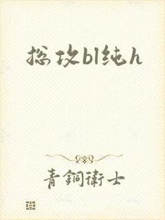 总攻bl纯h