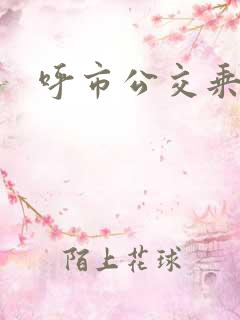 呼市公交乘车码