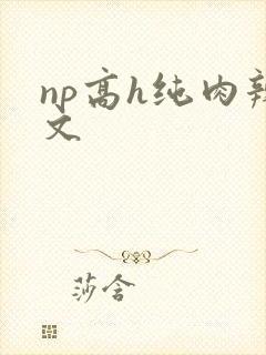 np高h纯肉辣文