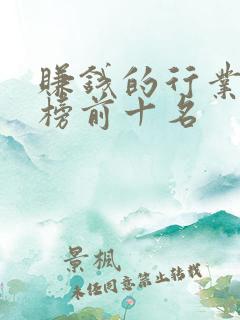 赚钱的行业排行榜前十名