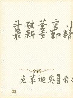 斗破苍穹 小说最新章节精校版
