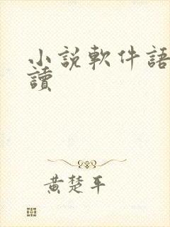 小说软件语音朗读 小说软件语音朗读
