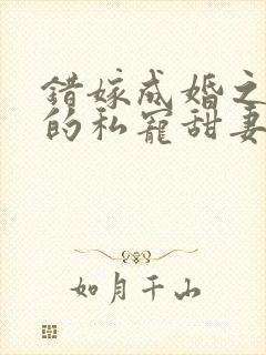 错嫁成婚之总裁的私宠甜妻全文阅读