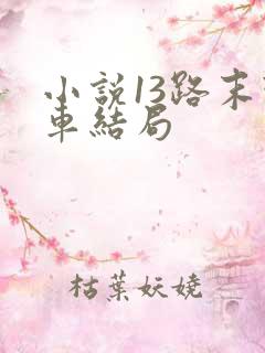 小说13路末班车结局