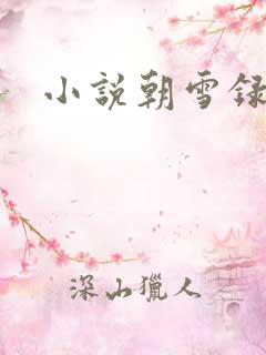 小说朝雪录全集