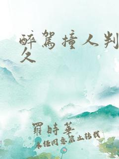 醉驾撞人判刑多久
