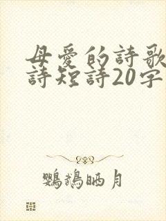 母爱的诗歌现代诗短诗20字左右