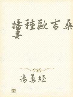 播种欧吉桑与人妻