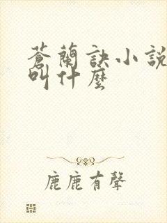 苍兰诀小说原著叫什么