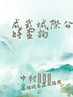 成武城际公交实时查询