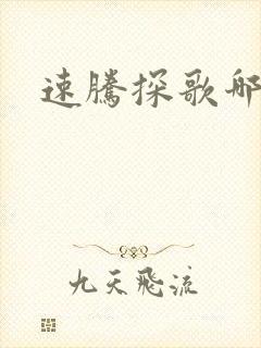 速腾探歌哪个好
