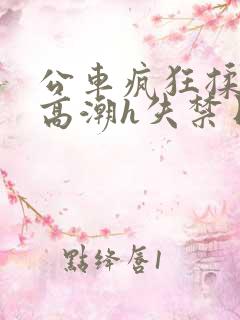 公车疯狂揉肉蒂高潮h失禁日本剧