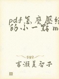 pdf怎么压缩的小一点 mac