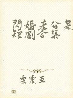 闪婚老公是豪门短剧合集
