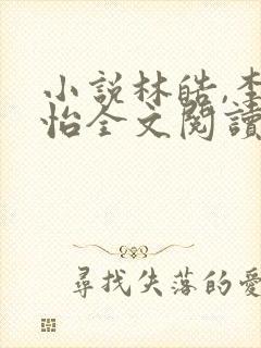 小说林皓,李静怡全文阅读