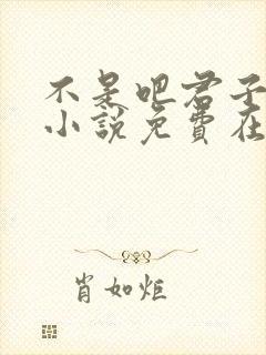 不是吧君子也防小说免费在线阅读