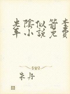 光阴似箭李艳傅平小说免费阅读 光阴似箭李艳傅平小说免费阅读