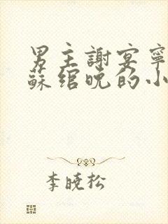 男主谢宴宁女主苏绾晚的小说