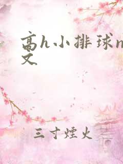高h小排球np文