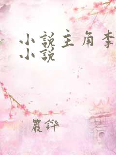 小说主角李辰的小说