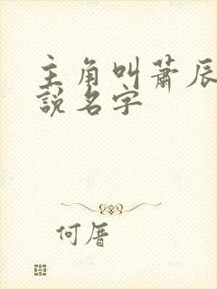 主角叫萧辰的小说名字