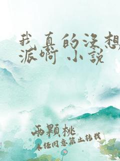 我真的没想当反派啊 小说