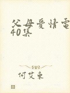 父母爱情电视剧40集