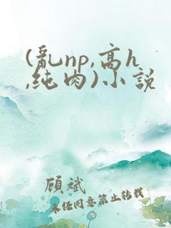 (乱np,高h,纯肉)小说