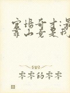 官场奇才:最强靠山竟是我自己李澜小说免