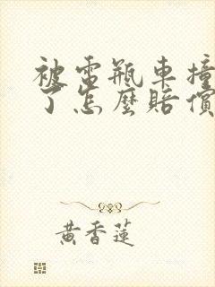 被电瓶车撞骨折了怎么赔偿