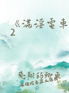 《满淫电车调教2