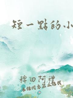 短一点的小说