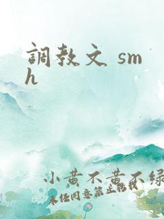 调教文 sm h