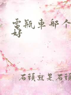 电瓶车哪个品牌好