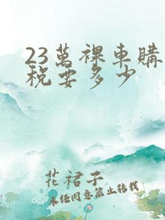 23万裸车购置税要多少