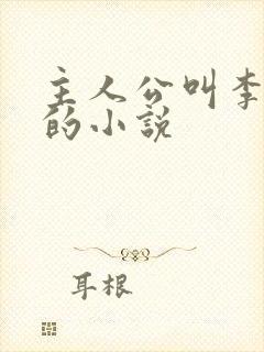 主人公叫李向南的小说