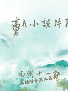 高h小说片段男男