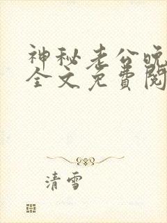 神秘老公晚上好全文免费阅读