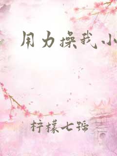 用力操我小逼逼