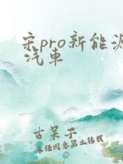 宋pro新能源 汽车