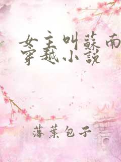 女主叫苏南清的穿越小说 女主叫苏南清的穿越小说