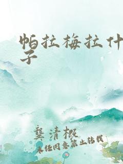 帕拉梅拉什么车子
