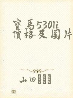 宝马530li价格及图片报价