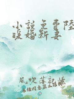 小说免费陆少的暖婚新妻 小说免费陆少的暖婚新妻