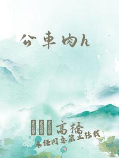 公车肉h 公车肉h